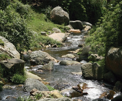 Parque Ecológico Jericó