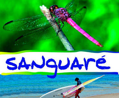 Reserva Natural Sanguaré