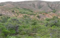 Desierto de la Candelaria