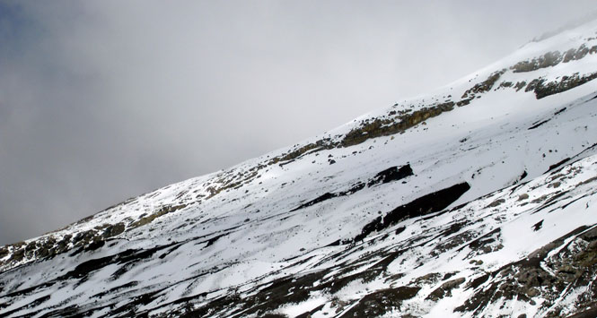PNN Los Nevados