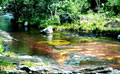 PNN 
Sierra de La Macarena