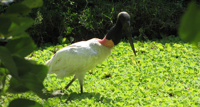 Zoológico Santa Fe