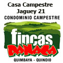 Fincas Panaca Jaguey 21