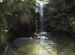Qawana Reserva Natural - foto 3