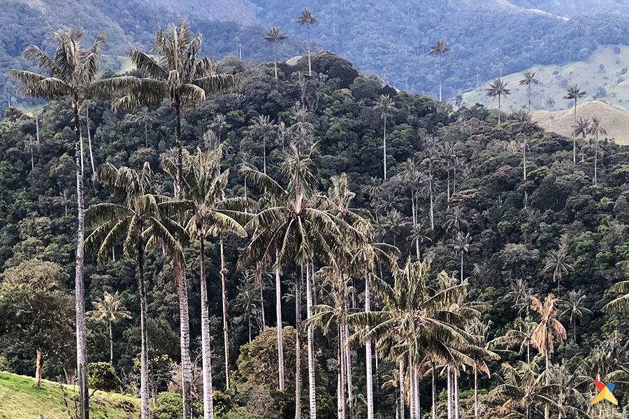 San Félix y el Valle de la Samaria Qué conocer en Caldas Turismo en