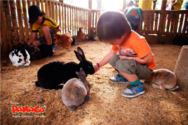 PANACA Quimbaya, Parque Nacional de la Cultura Agropecuaria - Qué conocer en Quindío - Turismo en Colombia