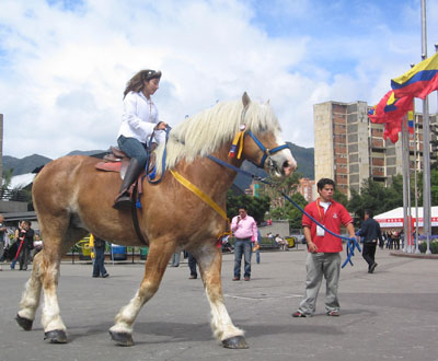 No se quede sin asistir a Agroexpo en Corferias No se quede sin asistir a Agroexpo en Corferias