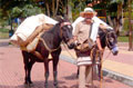 Colombia ganó en Fitur 2007 Colombia ganó en Fitur 2007
