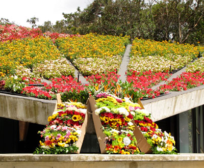 Pájaros, flores y amaneceres en Comfama Parque Arví Pájaros, flores y amaneceres en Comfama Parque Arví