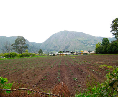 Bogotá tendrá el Parque Ecológico Urbano más grande de Latinoamérica Bogotá tendrá el Parque Ecológico Urbano más grande de Latinoamérica