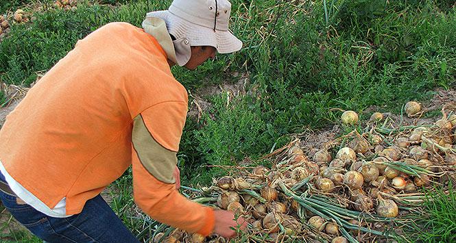 Boyacá no quiere minería, le apuesta al turismo comunitario Boyacá no quiere minería, le apuesta al turismo comunitario