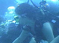 Buceo: disfrute de una aventura submarina en la laguna de Tota Buceo: disfrute de una aventura submarina en la laguna de Tota