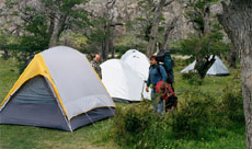 El Camping, la forma más barata de disfrutar Parques Naturales