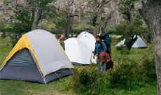 El Camping, la forma más barata de disfrutar Parques Naturales El Camping, la forma más barata de disfrutar Parques Naturales