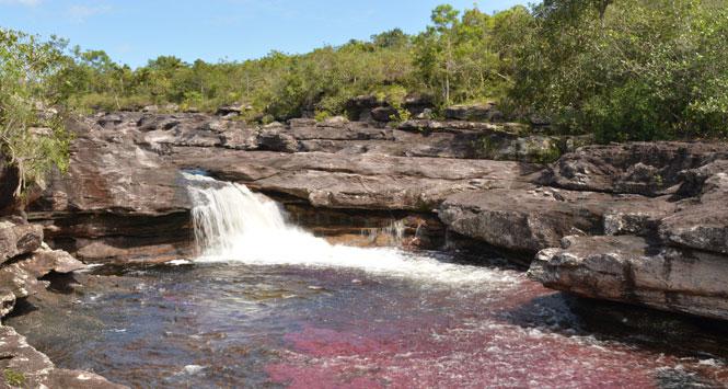 Caño Cristales se fortalece como destino turístico Caño Cristales se fortalece como destino turístico
