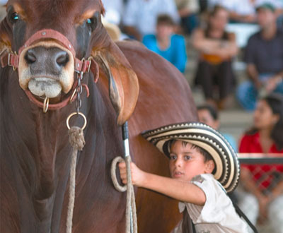 Programación para niños y jóvenes en Feria Nacional Cebú Programación para niños y jóvenes en Feria Nacional Cebú