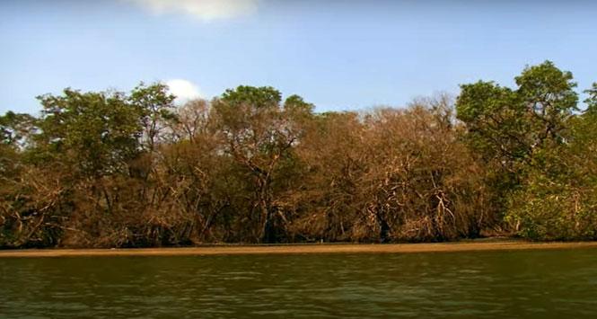 Ciénaga Grande de Santa Marta