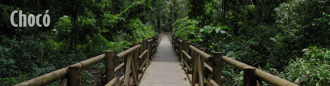 Chocó