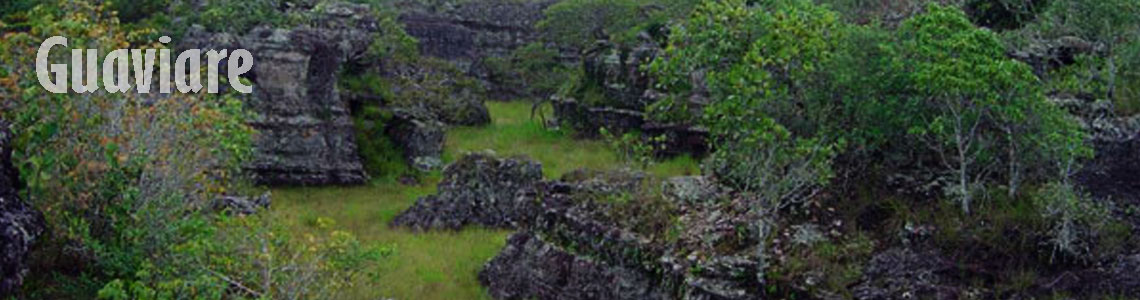 Guaviare