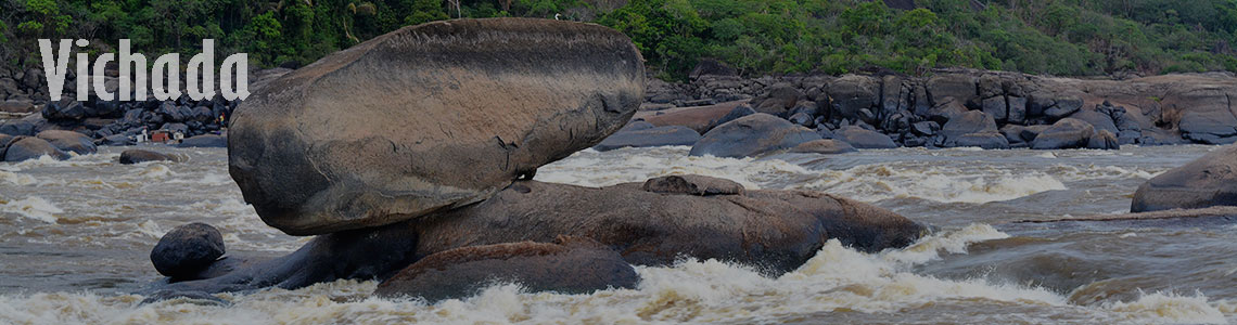 Vichada