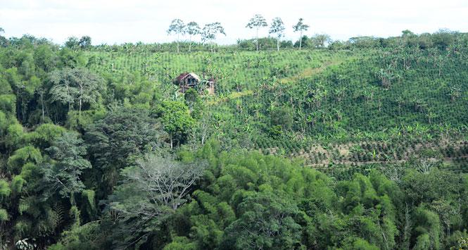 Invertirán 553 millones en la promoción del Quindío como destino Invertirán 553 millones en la promoción del Quindío como destino