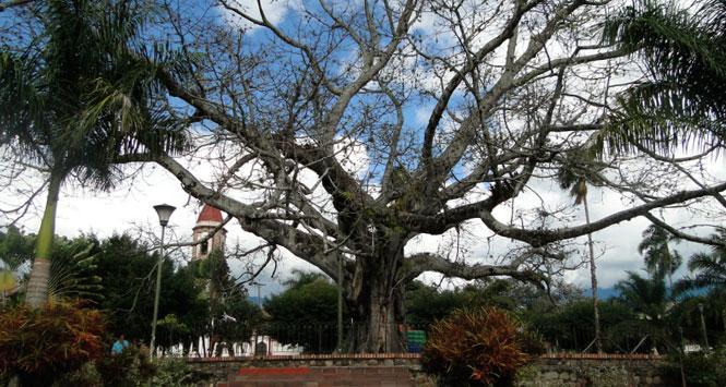 El Huila se prepara para la Vitrina Turística de ANATO 2022 El Huila se prepara para la Vitrina Turística de ANATO 2022