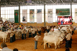 Feria Agroindustrial y Turística de Catama quiere romper record en ventas. Feria Agroindustrial y Turística de Catama quiere romper record en ventas.