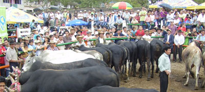 Municipios boyacenses están de fiesta Municipios boyacenses están de fiesta