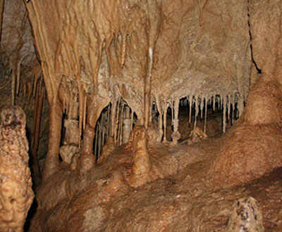 Cueva de Los Guácharos cumplió 50 años Cueva de Los Guácharos cumplió 50 años