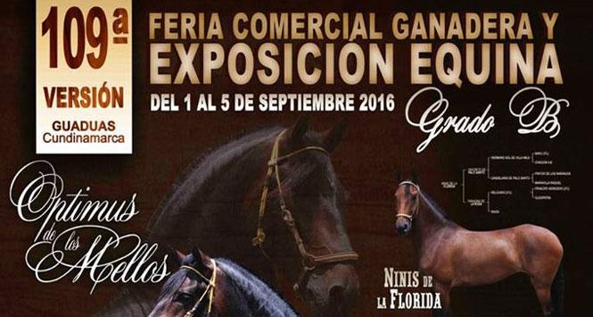 Feria Comercial Ganadera y Exposición Equina 2016 en Guaduas, Cundinamarca Feria Comercial Ganadera y Exposición Equina 2016 en Guaduas, Cundinamarca