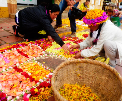 Un tapete floral gigante los espera en el Corpus Christi de Guayatá, Boyacá