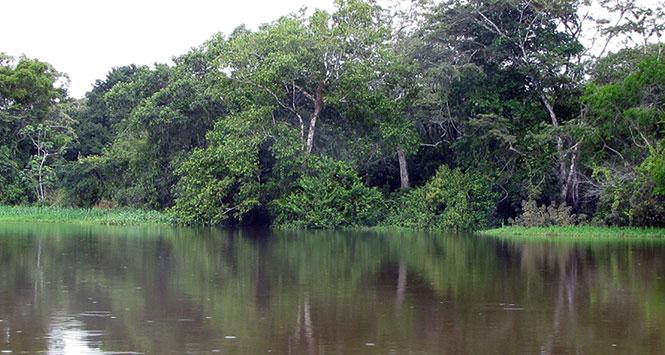 Lago Tarapoto
