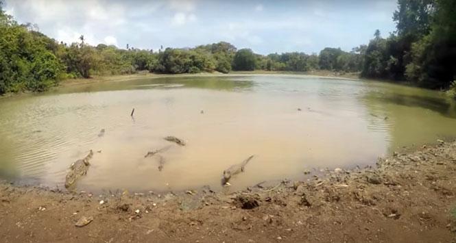 Laguna Big Pond