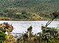 Inician diseño de productos turísticos en el sur del Huila Inician diseño de productos turísticos en el sur del Huila