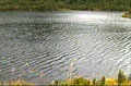 Fomentarán el ecoturismo en la laguna de Sonso Fomentarán el ecoturismo en la laguna de Sonso