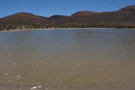 Se inicia programa de restauración de la Laguna Salada en la Guajira