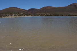 Se inicia programa de restauración de la Laguna Salada en la Guajira Se inicia programa de restauración de la Laguna Salada en la Guajira