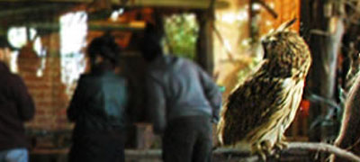 Diciembre natural y ecológico en La Reserva Diciembre natural y ecológico en La Reserva