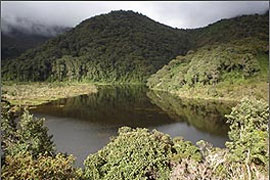 Crisis en el Macizo Colombiano Crisis en el Macizo Colombiano