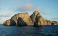 Con US$5 millones nace el Fondo Patrimonial Malpelo Con US$5 millones nace el Fondo Patrimonial Malpelo