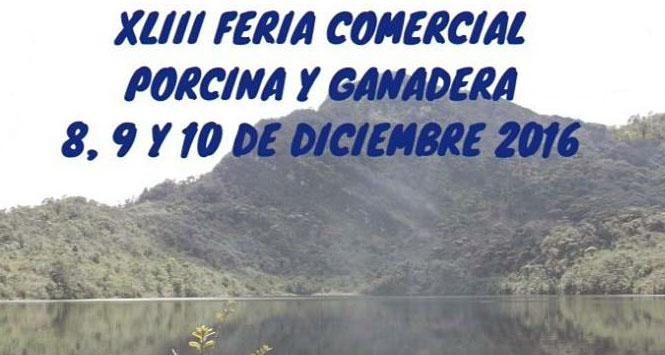 Feria Comercial Porcina y Ganadera 2016 en Manta, Cundinamarca Feria Comercial Porcina y Ganadera 2016 en Manta, Cundinamarca