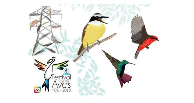 Festival de las Aves en Medellín 2018 Festival de las Aves en Medellín 2018