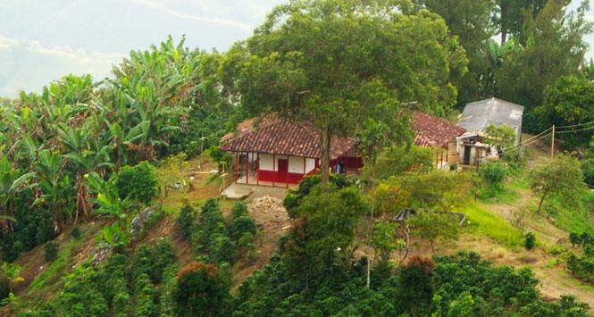 Gobernación del Quindío y Viceministerio de Turismo por la conservación del PCC Gobernación del Quindío y Viceministerio de Turismo por la conservación del PCC