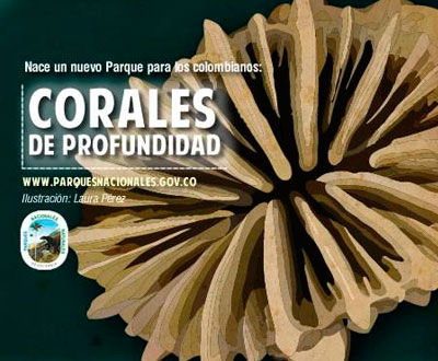 Nace Corales de Profundidad, un nuevo Parque Natural Nacional Nace Corales de Profundidad, un nuevo Parque Natural Nacional