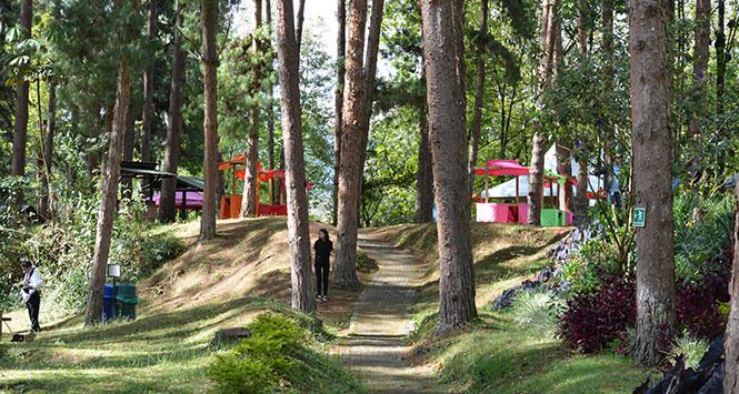 El Parque Ecológico Los Salados se renueva El Parque Ecológico Los Salados se renueva
