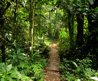 Gobierno promueve turismo sostenible y ambientalmente responsable Gobierno promueve turismo sostenible y ambientalmente responsable