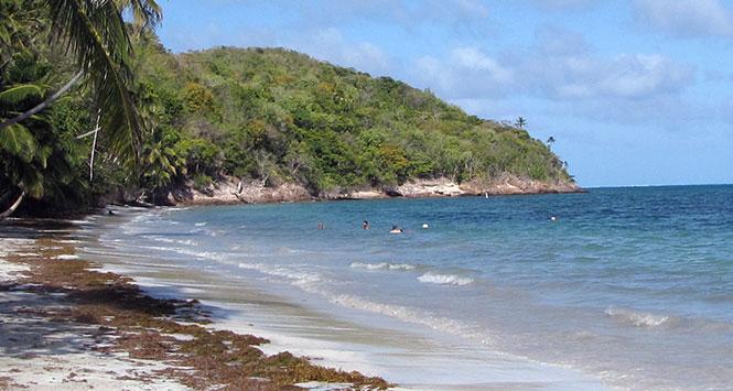 Playa de Manzanillo