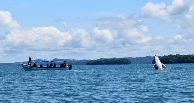 Reactivación turística de Buenaventura llega a buen puerto Reactivación turística de Buenaventura llega a buen puerto