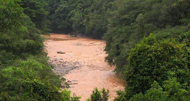 Río Putumayo
