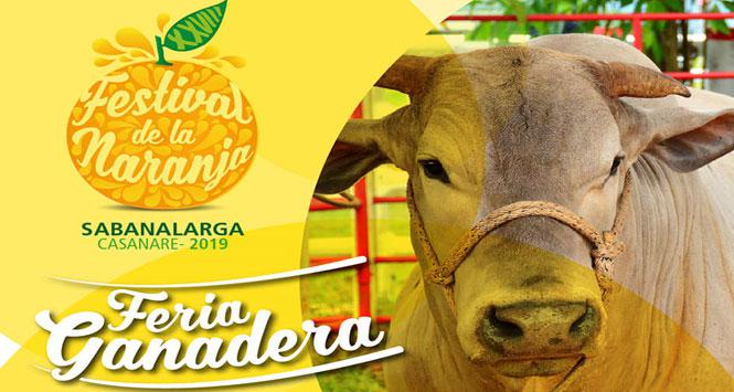 Festival de la Naranja y Feria Ganadera 2019 en Sabanalarga, Casanare